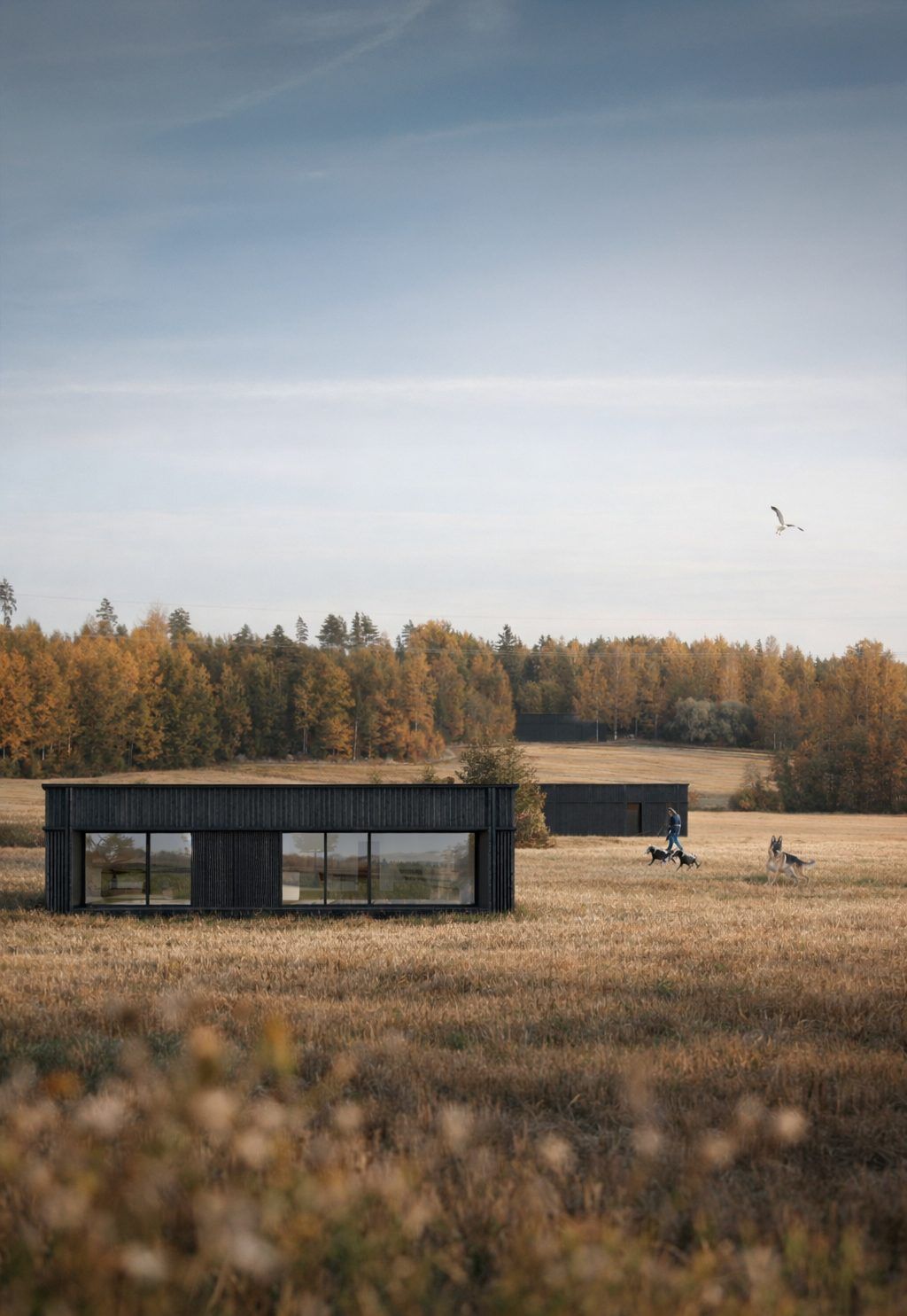 Modular House